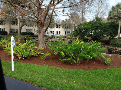 Independent and Assisted Living in Port St. Lucie, FL